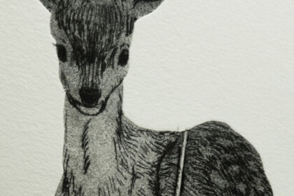 テトラパック版画で制作した、物音に気づいて顔を上げる子鹿のドライポイント作品