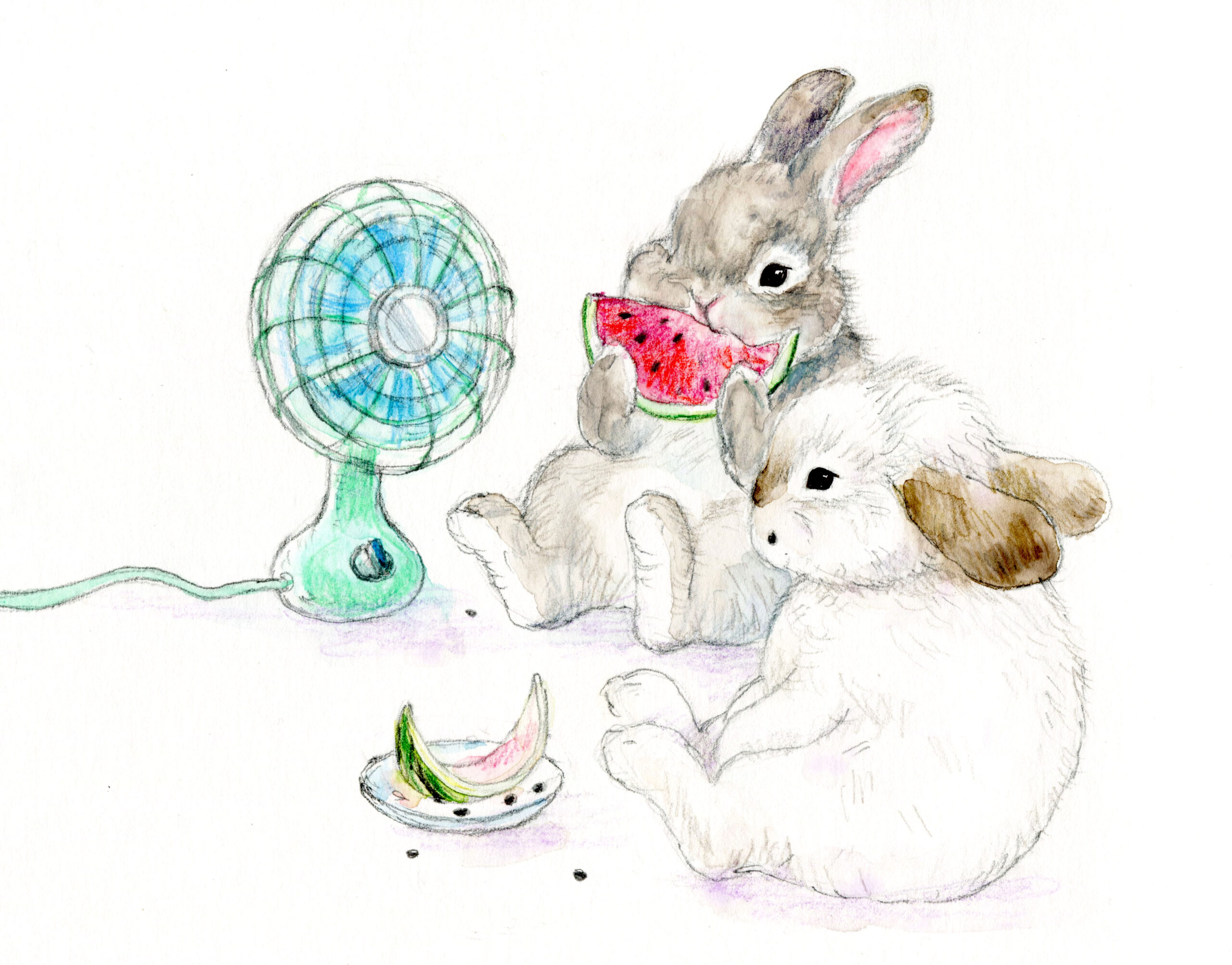 夏の日